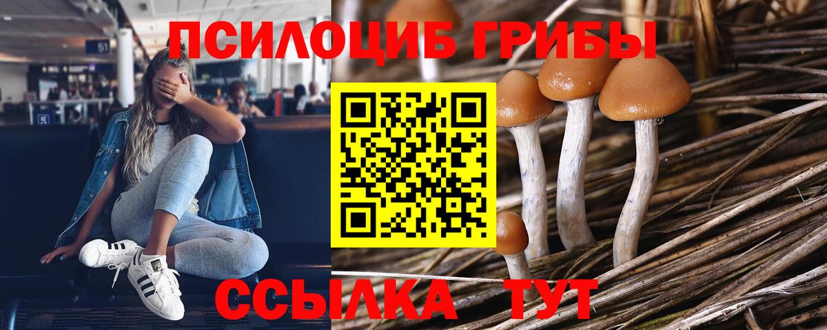 Псилоцибиновые грибы прущие грибы  Галлюциногенные грибы прущие грибы  Вход с VPN  где продают   Санкт-Петербург 